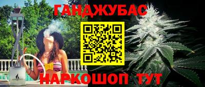 сатива Кунгур