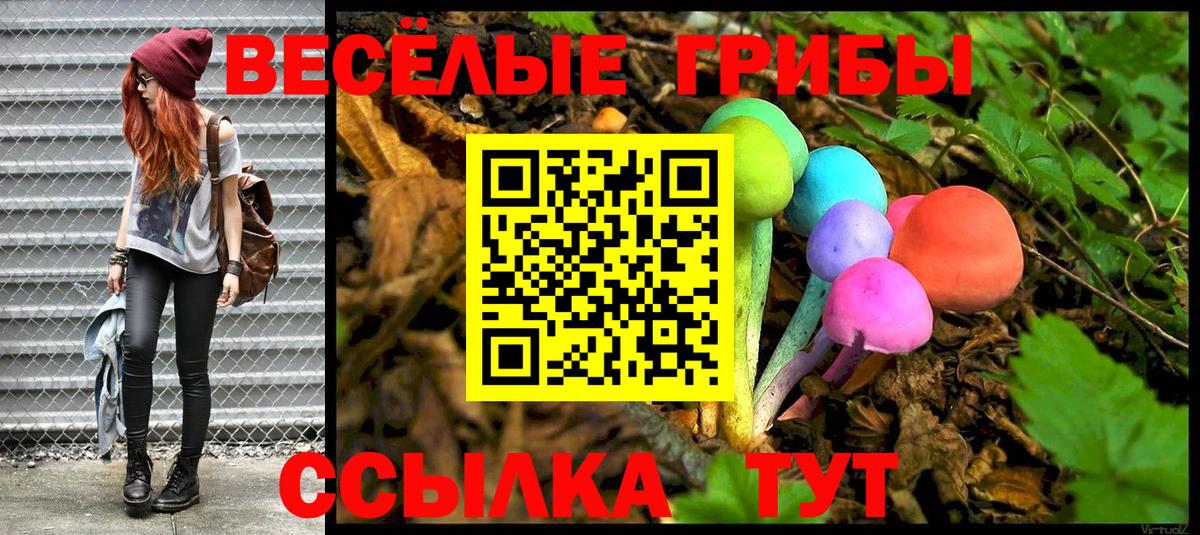 Псилоцибиновые грибы мицелий Кингисепп