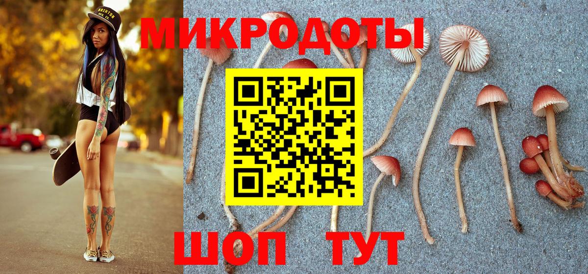 Псилоцибиновые грибы Psilocybine cubensis  Вход с VPN  Галлюциногенные грибы прущие грибы  Кингисепп 